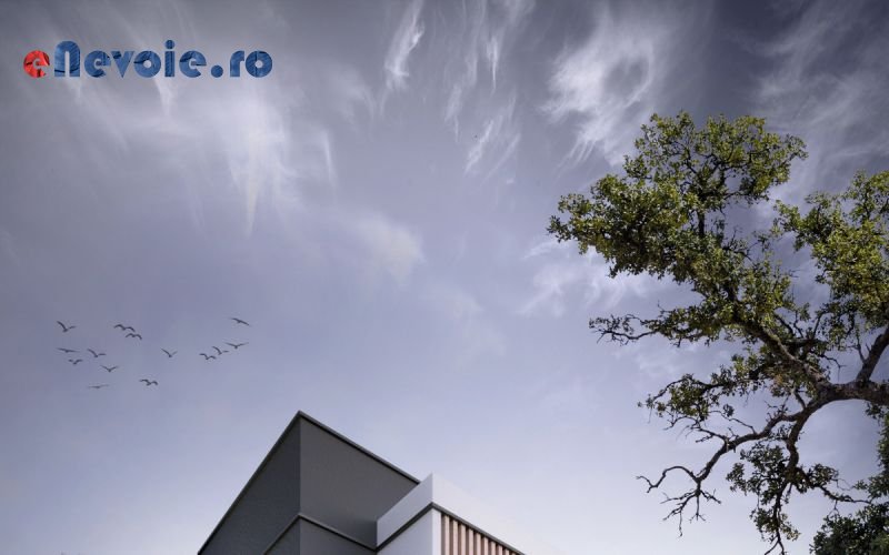 Imagine din portofoliu de lucrari