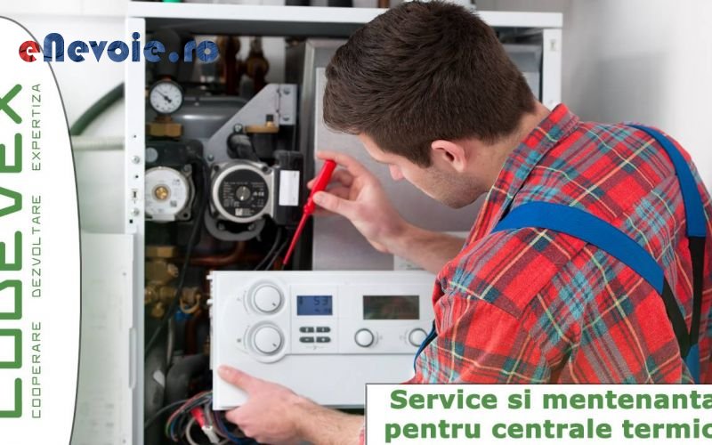 Imagine din portofoliu de lucrari