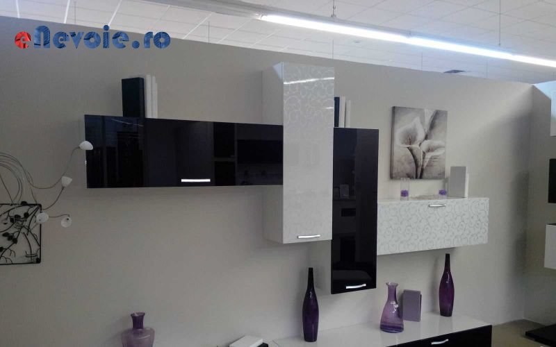 Imagine din portofoliu de lucrari