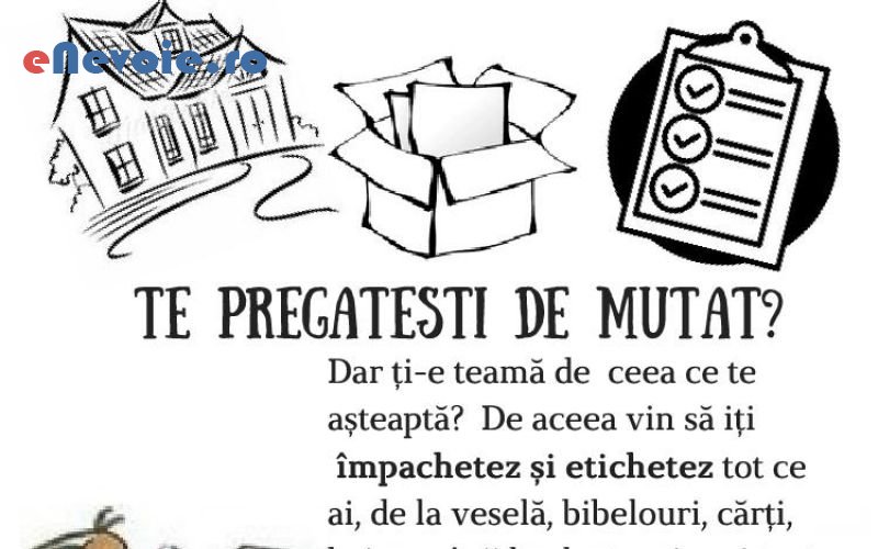 1servicii-mutari-transport-depozitare--angela-nastaca-.png