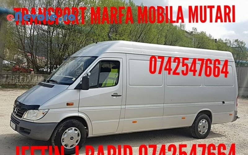1servicii-mutari-transport-marfuri-transport-depozitare--catalin-nicu-.png