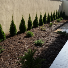 Avatar profil-utilizator/contact-6534-af/sc-magicyard-serv-srl-d-terase-gradina-amenajare-si-intretinere-spatii-verzi-casa-si-gradina--20161213212924.png