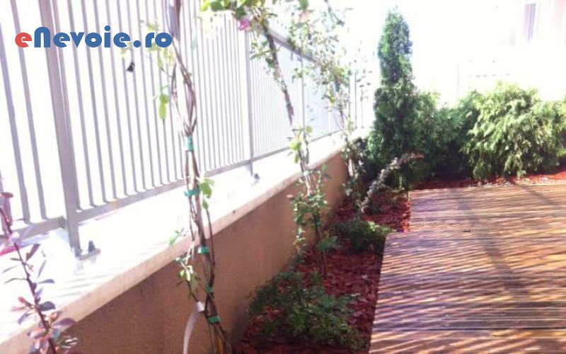 terase-gradina-amenajare-si-intretinere-spatii-verzi-casa-si-gradina--contact-6534-af3.png