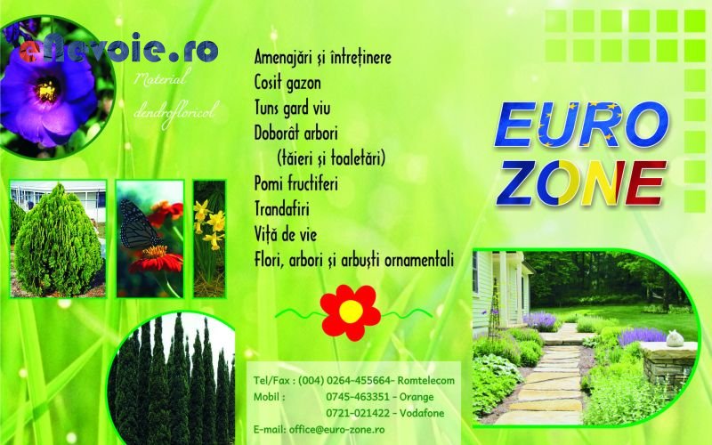 Imagine din portofoliu de lucrari