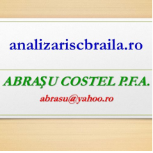 Avatar profil-utilizator/costel-abrasu-1626-a5/costel-abrasu-evaluatori-consultanta-contabilitate-it--20171105101918.png