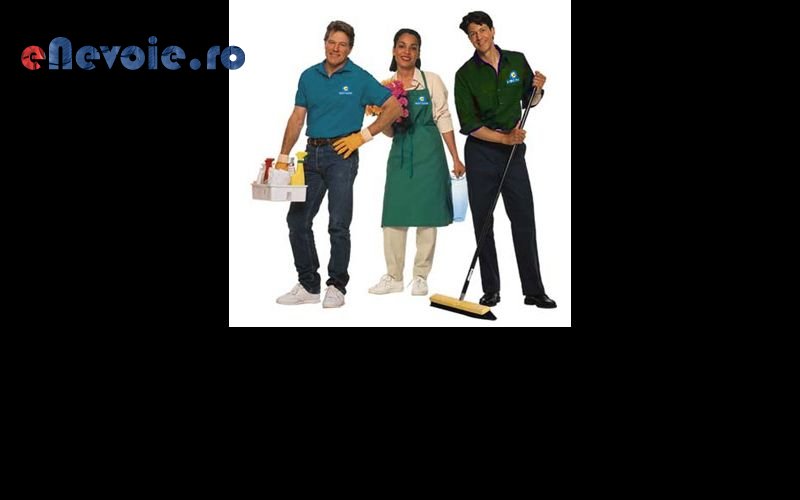 Imagine din portofoliu de lucrari