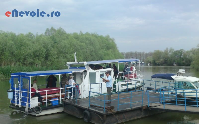 2transport-persoane-transport-marfuri-transport-depozitare--dan-buzatu-8557.png