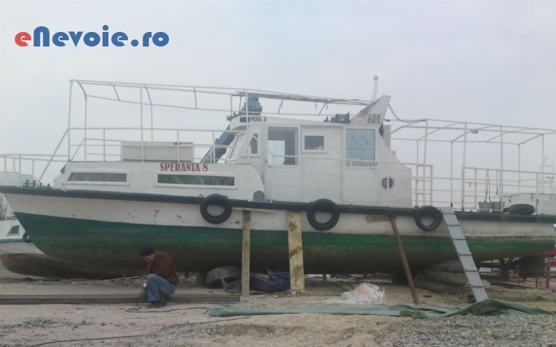 5transport-persoane-transport-marfuri-transport-depozitare--dan-buzatu-8557.png