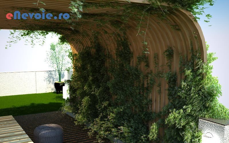 1amenajare-si-intretinere-spatii-verzi-design-interior-amenajari-exterioare-amenajari-interioare-casa-si-gradina--daniel-tintea.png