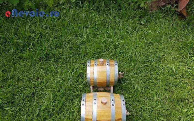 Imagine din portofoliu de lucrari