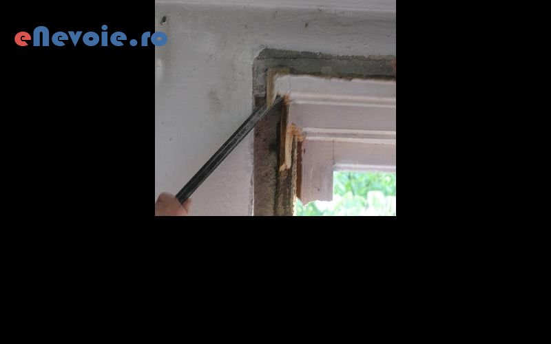 4amenajari-interioare-casa-si-gradina--emil-modoianu.png
