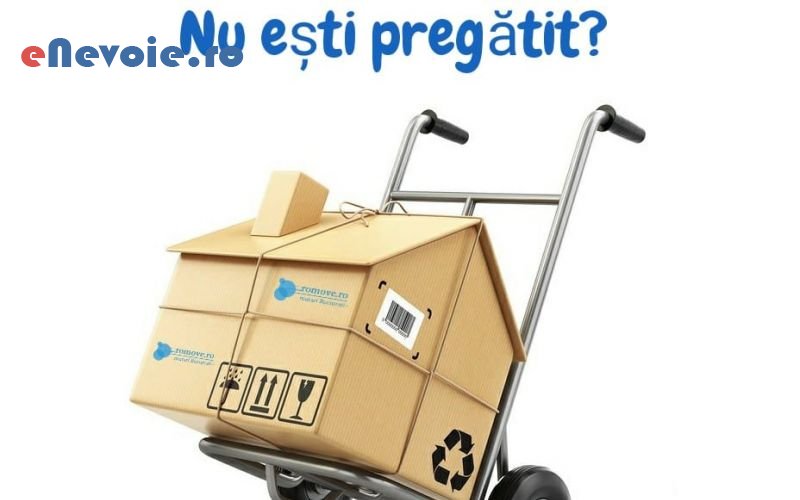 1servicii-depozitare-servicii-mutari-inchirieri-masini-de-transport-transport-marfuri-transport-depozitare--firma-mutari-.png