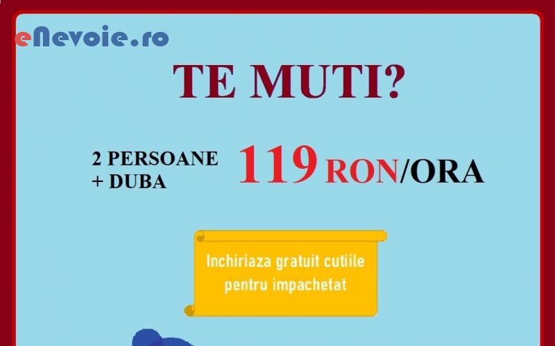 2servicii-depozitare-servicii-mutari-inchirieri-masini-de-transport-transport-marfuri-transport-depozitare--firma-mutari-.png