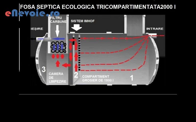 1inchirieri-utilaje-constructii-constructii--ii-angheluta-.png