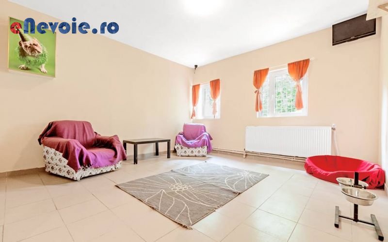 Imagine din portofoliu de lucrari