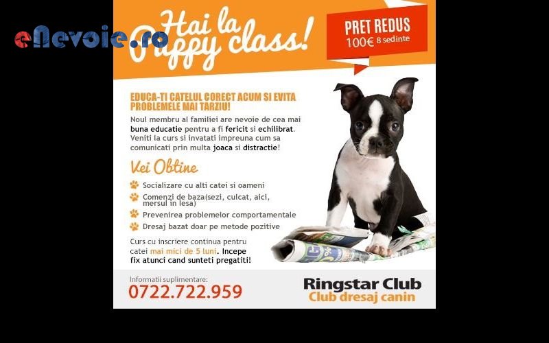 Imagine din portofoliu de lucrari