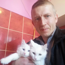 Avatar profil-utilizator/ionel-agache-4868-2d/ionel-agache-reparatii-centrale-termice-reparatii-termice-instalatii-termice-sanitare-electrice-termice-gaze--20190308215105.png