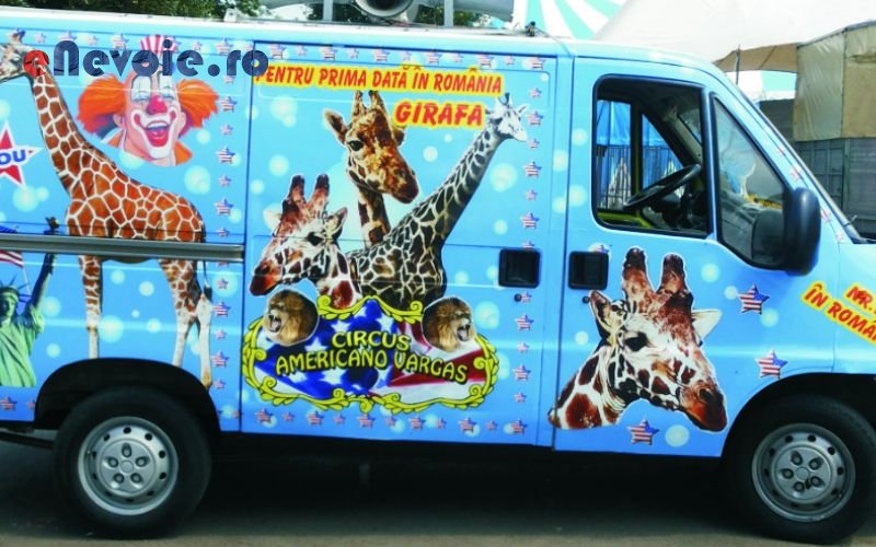 Imagine din portofoliu de lucrari