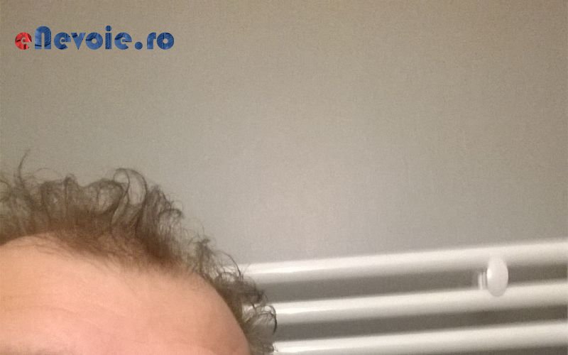 Imagine din portofoliu de lucrari