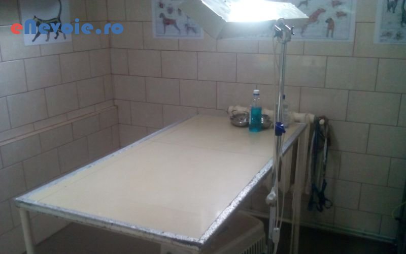 2cabinet-medical-individual-servicii-medicale--mihai-matiut-65.png
