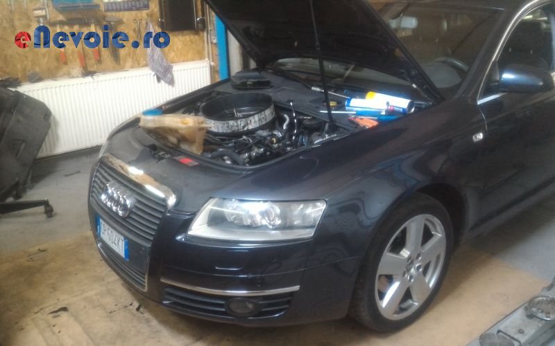 Imagine din portofoliu de lucrari