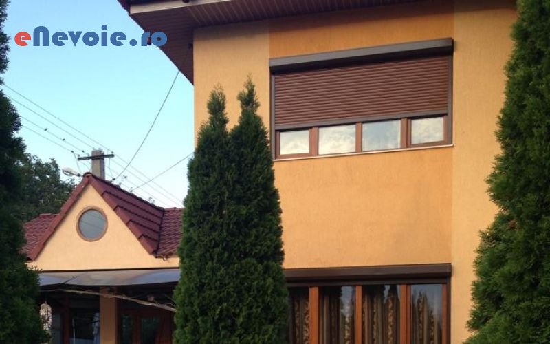 4amenajare-si-intretinere-spatii-verzi-amenajari-exterioare-casa-si-gradina--nicolae-alexa.png