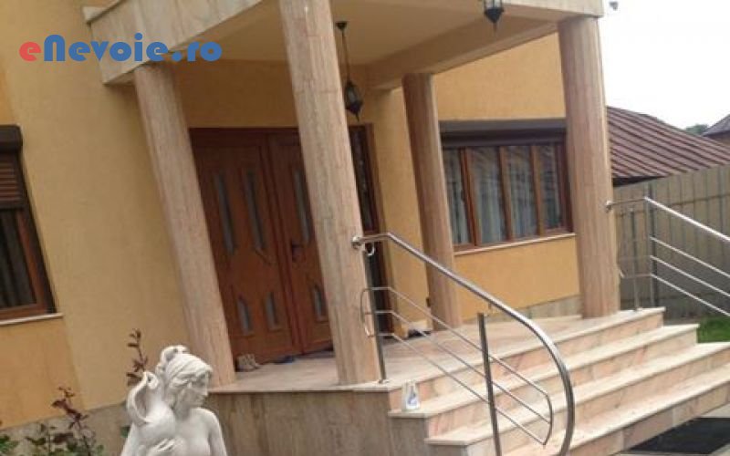 6amenajare-si-intretinere-spatii-verzi-amenajari-exterioare-casa-si-gradina--nicolae-alexa.png