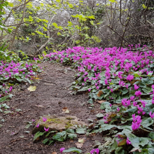 Avatar profil-utilizator/nora-vihta-4626-22/nora-vihta-imprumuturi-nebancare-servicii-financiare-si-asigurari--20170507190044.png