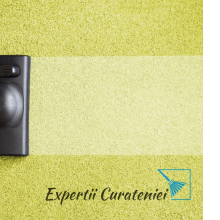 Avatar profil-utilizator/office-3206-86/office-3206-86-curatenie-casa-si-gradina--20170118111724.png