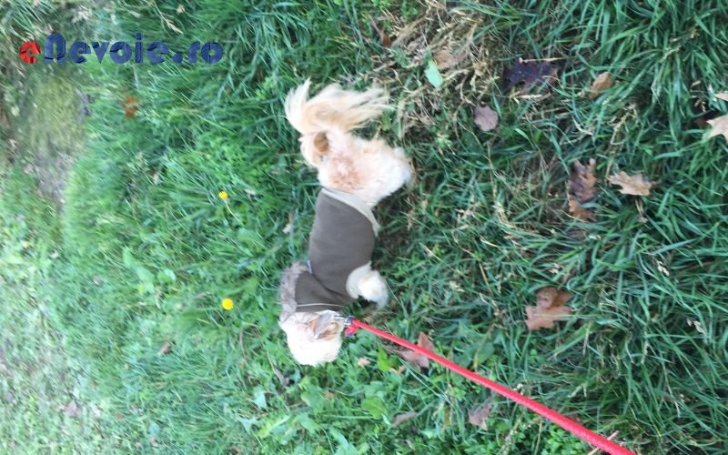 Imagine din portofoliu de lucrari