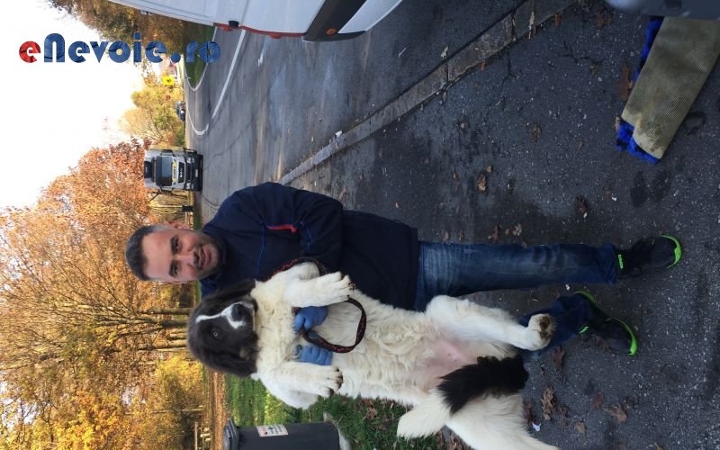 Imagine din portofoliu de lucrari