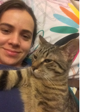 Avatar profil-utilizator/patricia-lup-7934-2c/patricia-lup-consultanta-juridica-consultanta-contabilitate-it--20170117002444.png