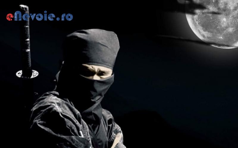 Imagine din portofoliu de lucrari