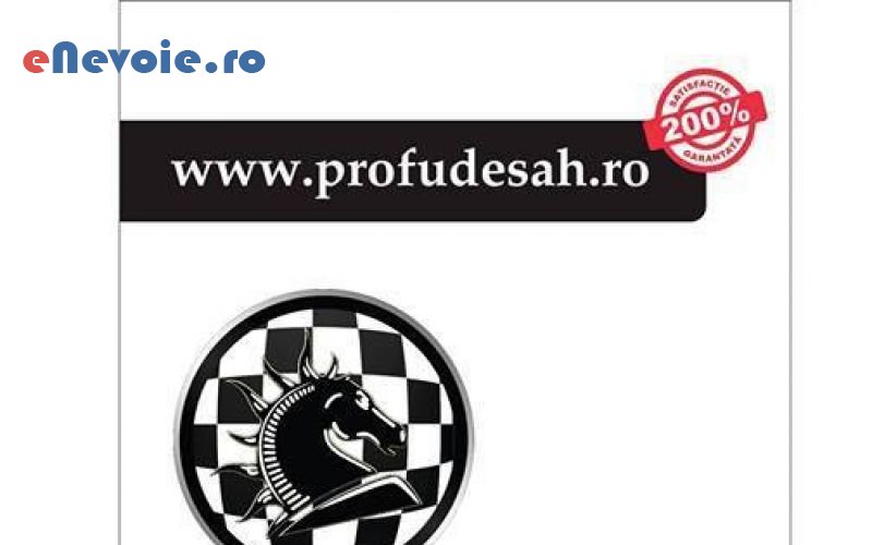 4cursuri-sah-initiere-meditatii-sah-after-school-educatie-formare-profesionala--pfa-pfa-nicul.png