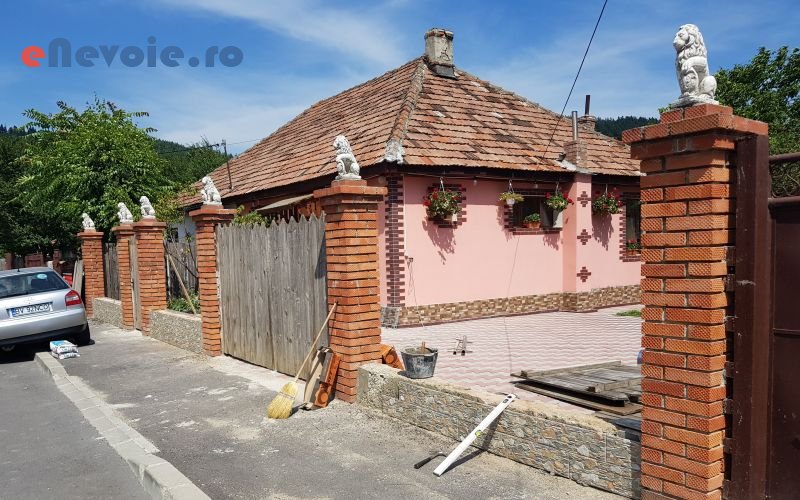 4amenajari-exterioare-amenajari-interioare-casa-si-gradina--pfa-togoie-cow.png