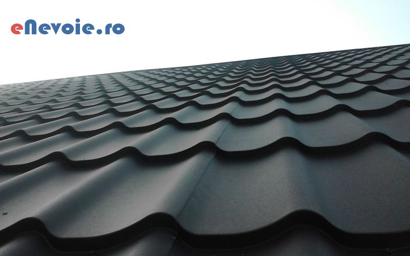 acoperisuri-constructii--roofprofil-7092-c95.png