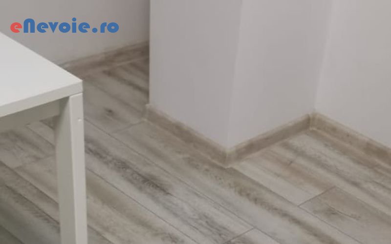 1curatenie-casa-si-gradina--rucani-cleani.png