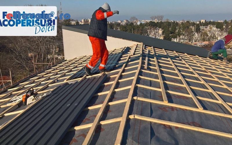 4acoperisuri-constructii--sc-adolea-com.png