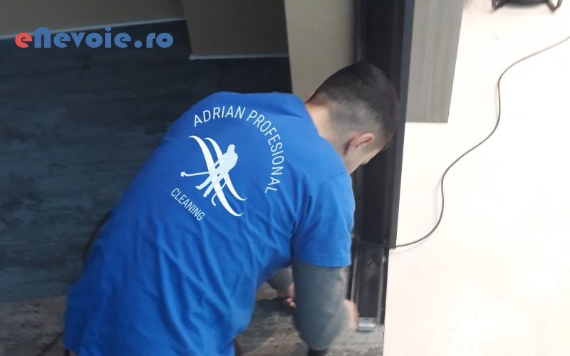 2curatenie-casa-si-gradina--sc-adrian-pro.png
