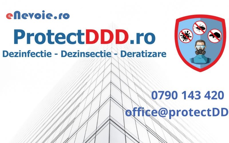 2dezinsectie-si-deratizare-casa-si-gradina--sc-agentia-ddy.png