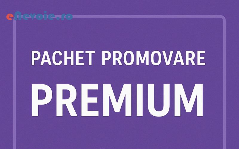 6consultanta-in-afaceri-consultanta-fonduri-europene-optimizare-website-uri-servicii-it-consultanta-it-creare-website-uri-consultan-sc-barter-plac.png
