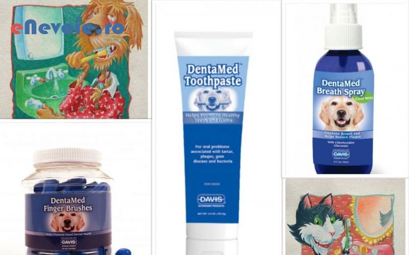 1cosmetica-si-ingrijire-animale-ingrijire-animale--sc-biopet-trac.png