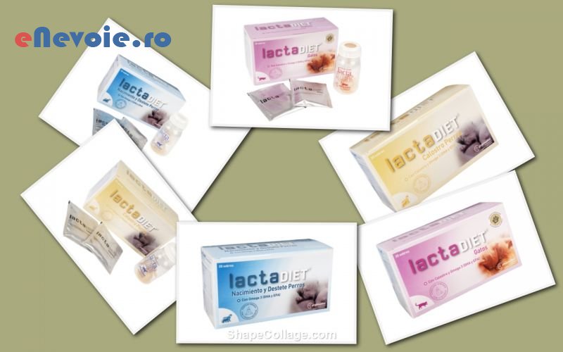 4cosmetica-si-ingrijire-animale-ingrijire-animale--sc-biopet-traw.png