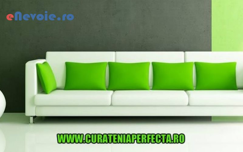 5curatenie-casa-si-gradina--sc-bogner-prest.png