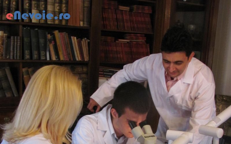 2cursuri-gemologie-educatie-formare-profesionala--sc-casa-de-bi.png