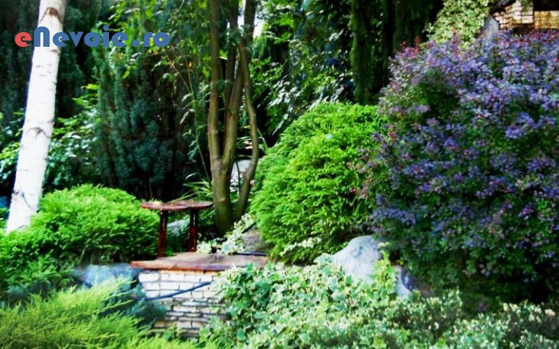 2terase-gradina-amenajare-si-intretinere-spatii-verzi-amenajari-exterioare-amenajari-interioare-casa-si-gradina--sc-gd-atelier-p.png