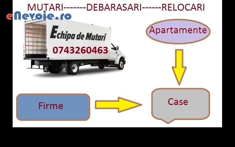 4transport-animale-servicii-mutari-transport-persoane-timisoara-oriunde-transport-marfuri-transport-depozitare--sc-gs-trans-2.png