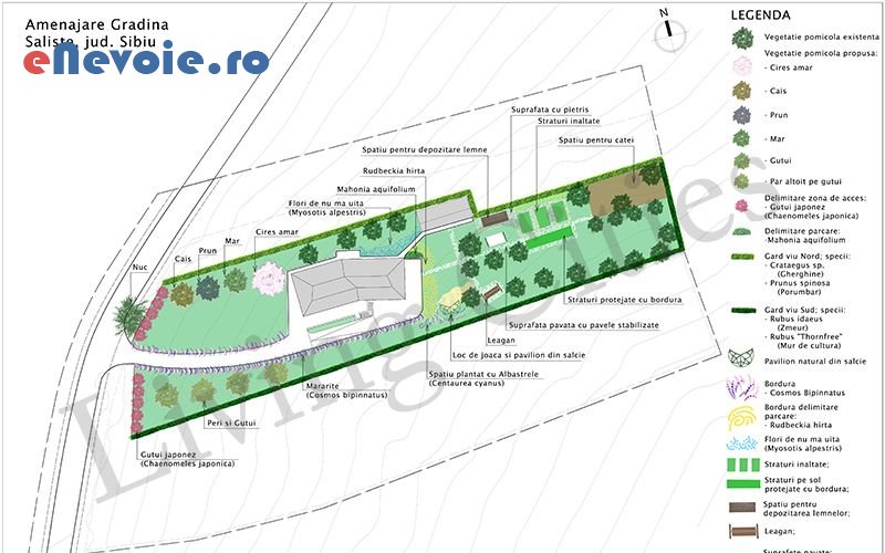 4terase-gradina-amenajare-si-intretinere-spatii-verzi-design-interior-amenajari-exterioare-amenajari-interioare-casa-si-gradina--sc-living-cit.png