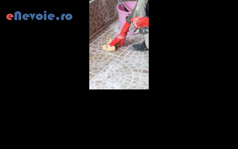 1terase-gradina-spalatorie-covoare-curatenie-casa-si-gradina--sc-mega-clean-m.png
