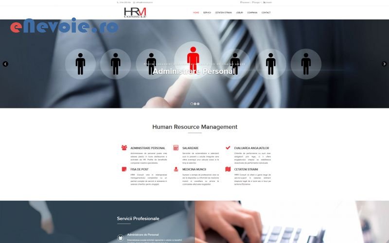 2optimizare-website-uri-servicii-it-consultanta-it-creare-website-uri-consultanta-contabilitate-it--sc-qmdesign-d.png